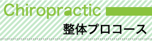 整体資格プロコース